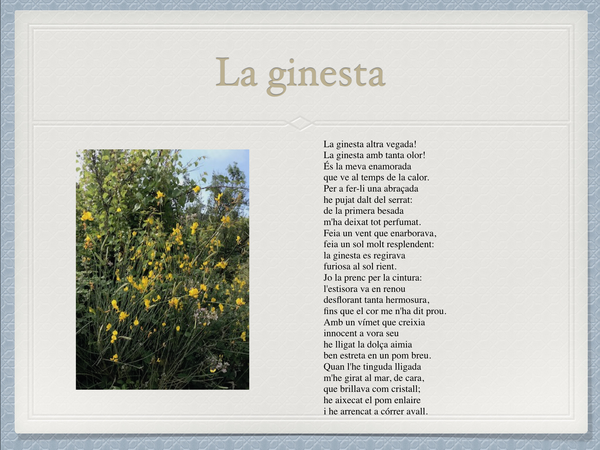 Fil 3. Guaita i opina. Llengua catalana